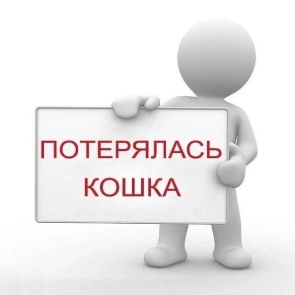 Доска объявлений картинка