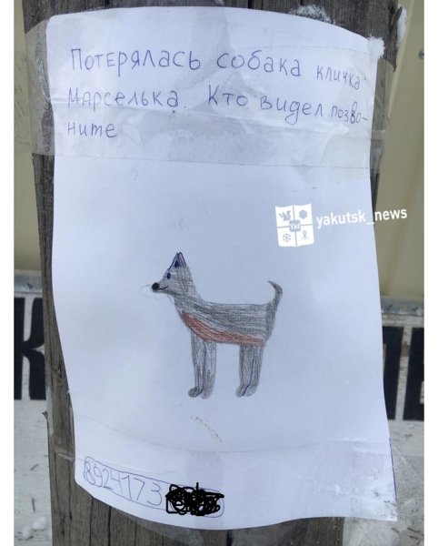 Прикольные объявления нарисованные