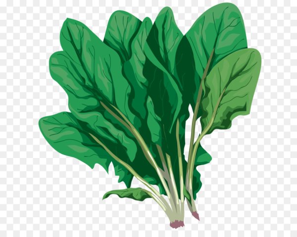 Шпинат комацуна