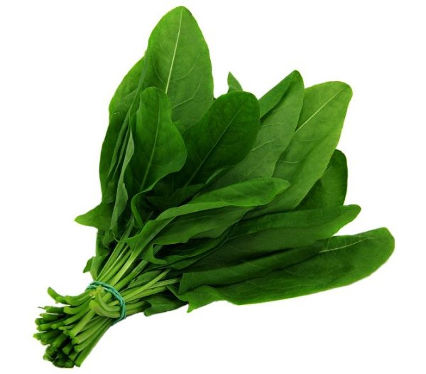 Щавель подложка 100г