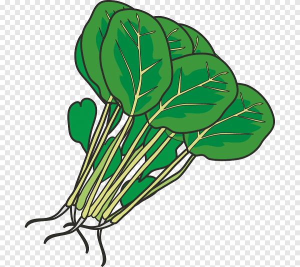 Шпинат стебли