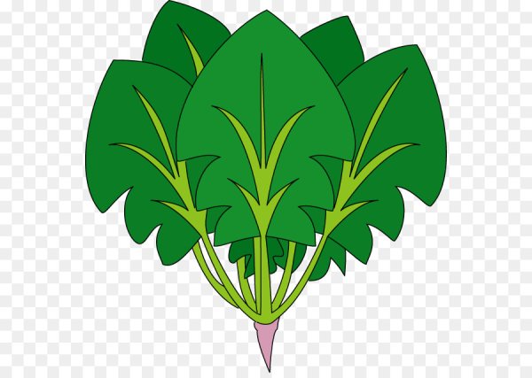 Шпинат мультяшный