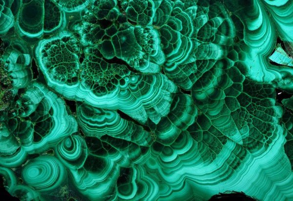 Малахитовый цветок