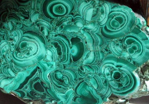 Батик малахит ящерка