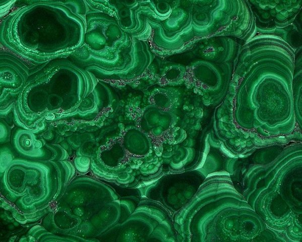 Малахит фактура вектор