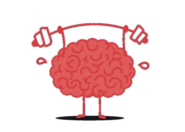 Мозг ум на белом фоне