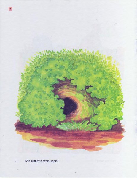 Лисья Нора для детей