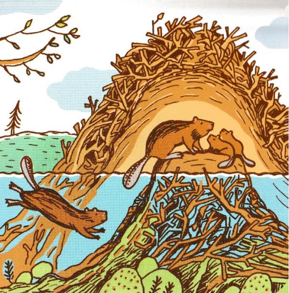 Гнездо Нора Берлога