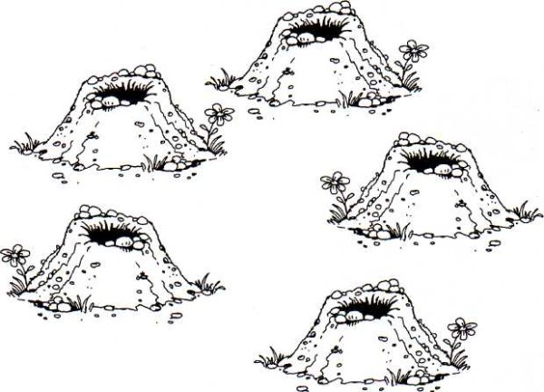 Рисование Норы