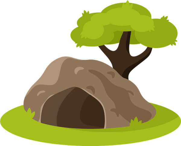 Мультяшные Норы