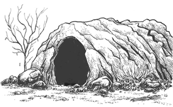 Нора раскраска для детей