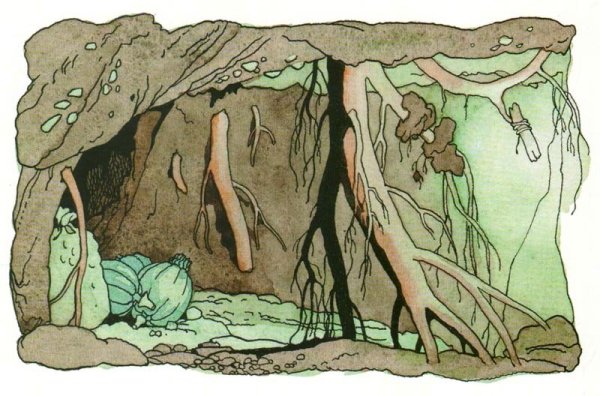 Норка крота Дюймовочка