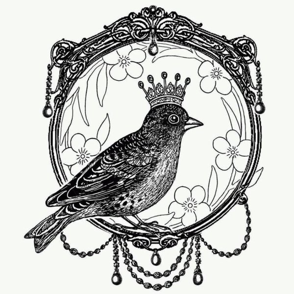 Монохромные картинки