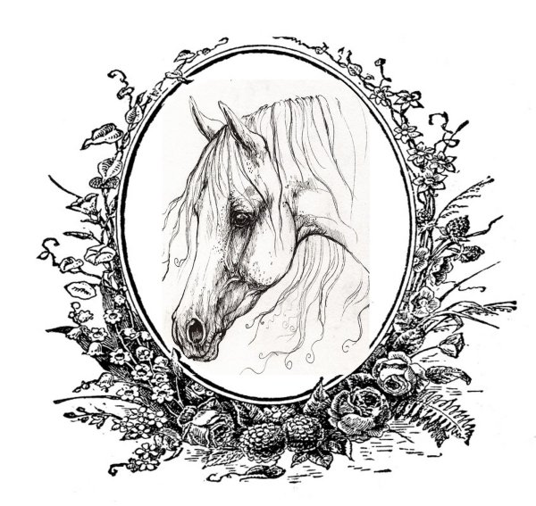 Эскизы для выжигания