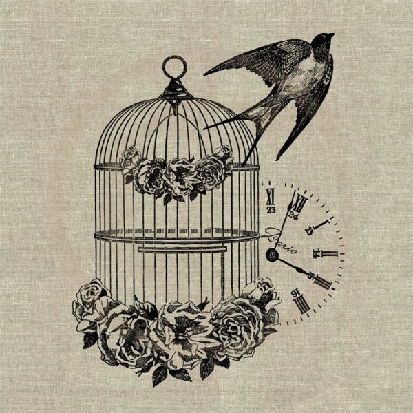 Птицы монохром для декупажа