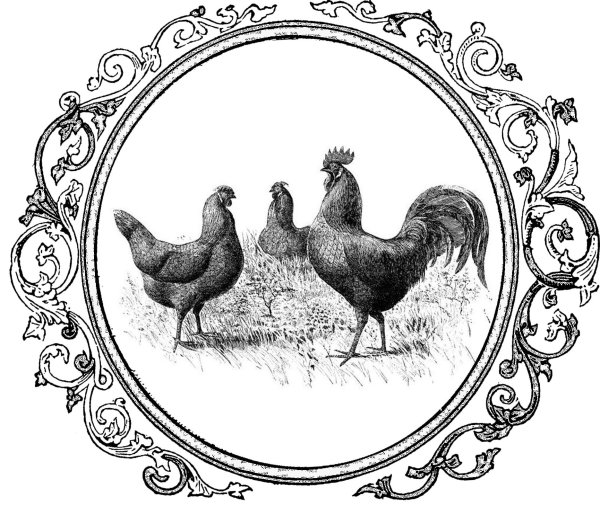 Черно белый декупаж