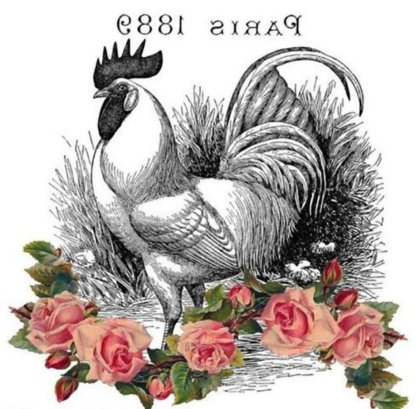 Монохромные рисунки для декупажа