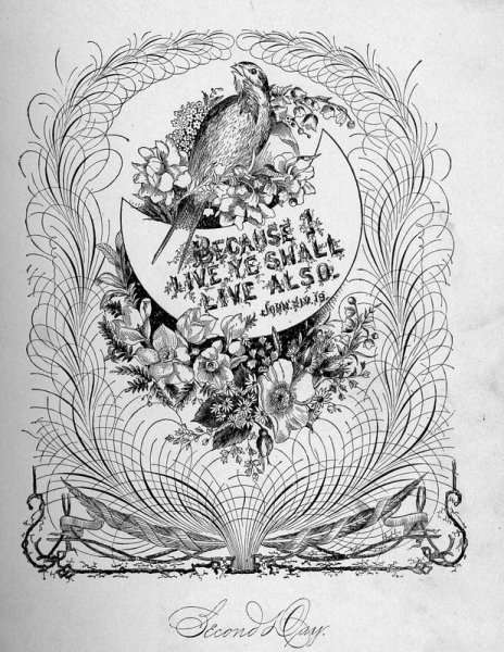 Монохромная открытка