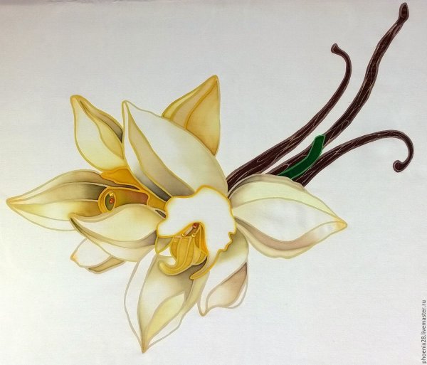 Ваниль цветок