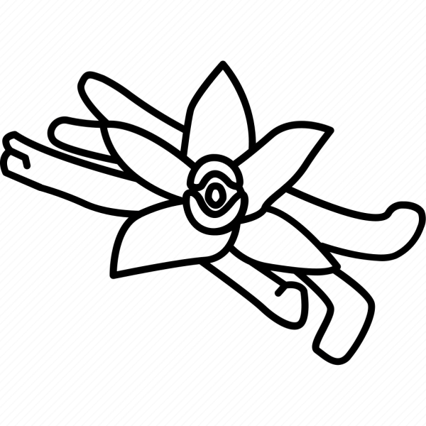 Ваниль контур