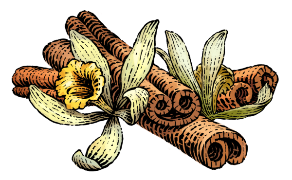 Ваниль иллюстрация