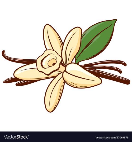 Ваниль мультяшная