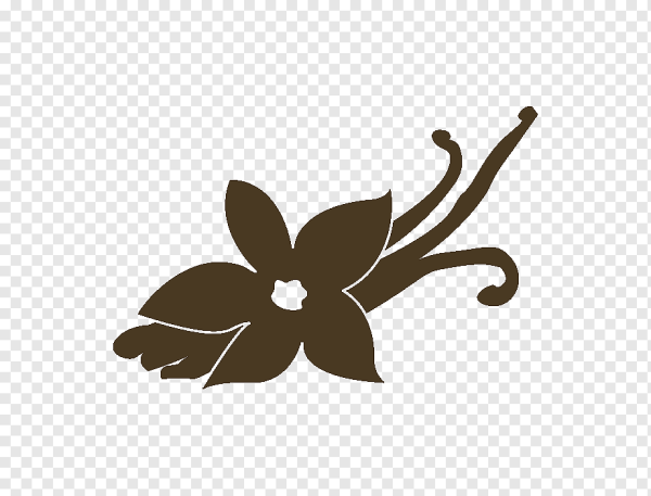 Ваниль цветок силуэт