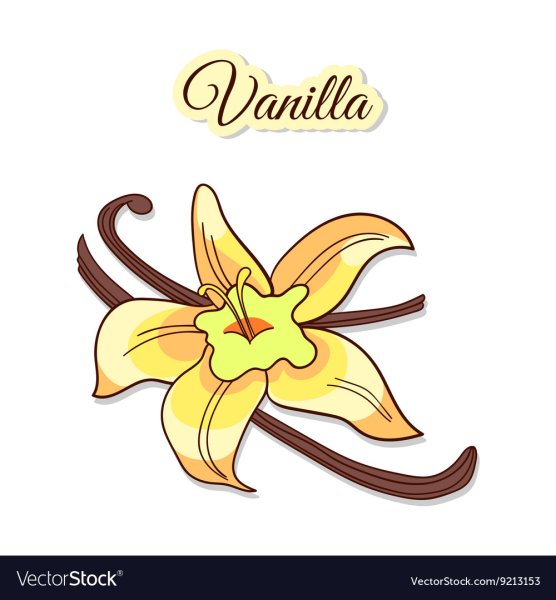 Ваниль мультяшная