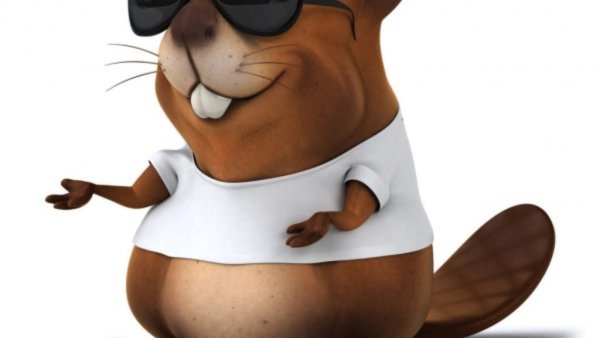 Бобер мультяшный в очках