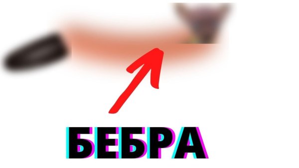 Как выглядит Бебра