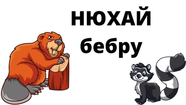 Бебра картинка
