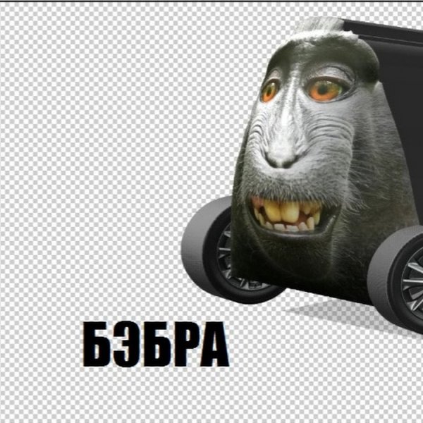 Нюхни Бебру