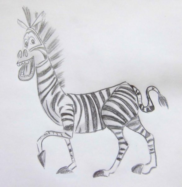 Зебра рисунок для детей карандашом