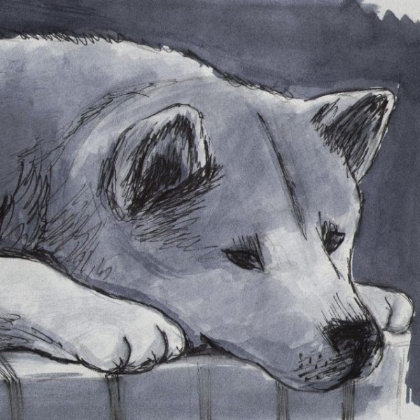 Хатико рисунок карандашом