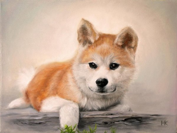 Хатико вектор