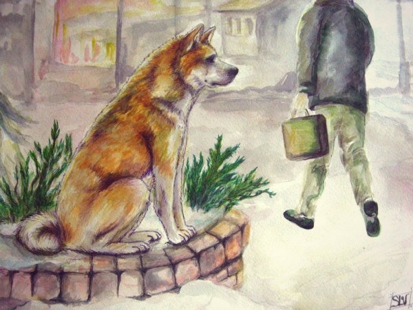 Хатико аниме