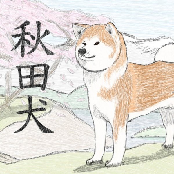 Акита ину (Хатико) арт