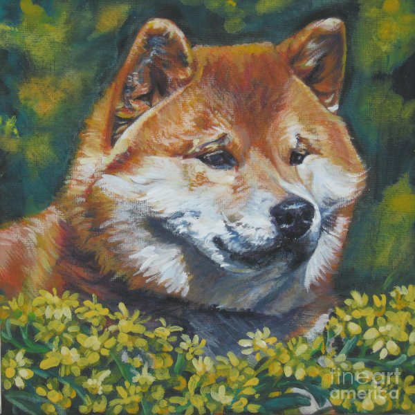 Рисовать Акита ину