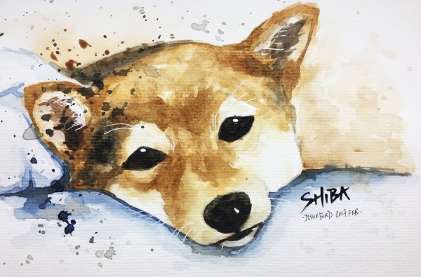 Шиба ину щенки арт