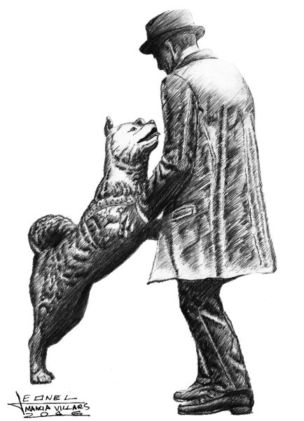 Собака Акита Хатико