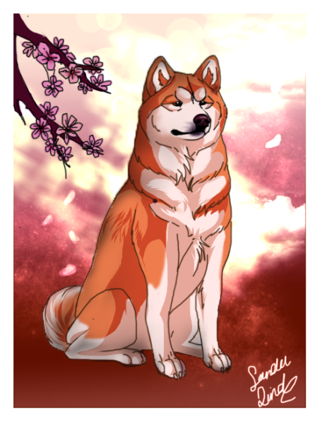 Японская собака Акита ину арт