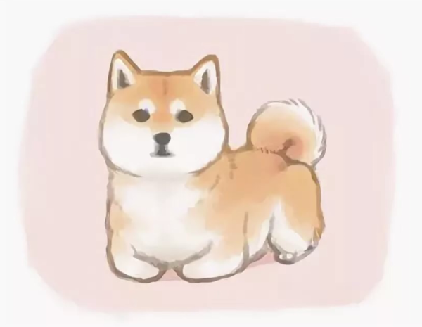 Собака Акита Хатико