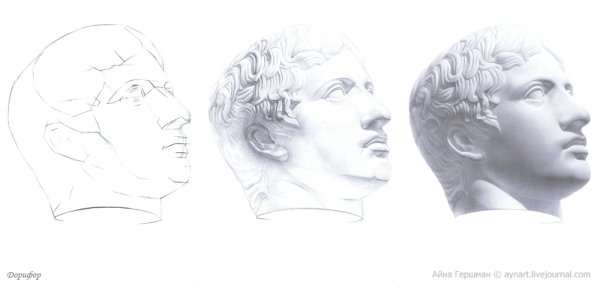 Антиной гипсовая голова