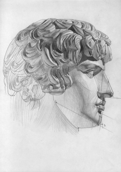 Сократ голова гипсовая МАРХИ