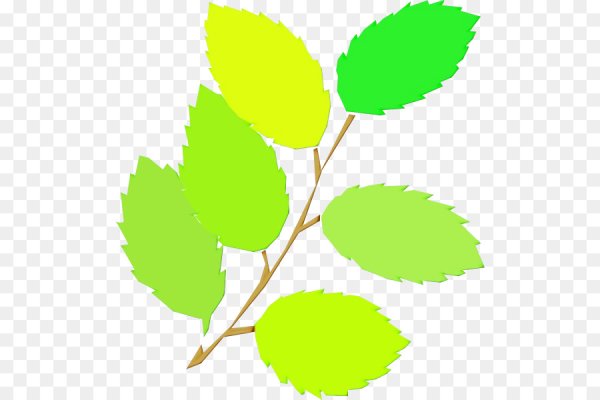 Ветка с листьями