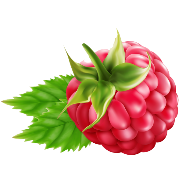 Малина рисунок для детей