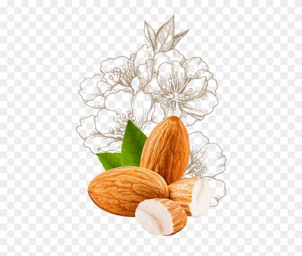 Миндаль нарисованный