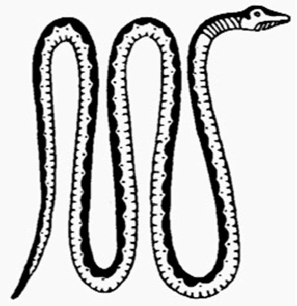 Бог Апоп раскраска