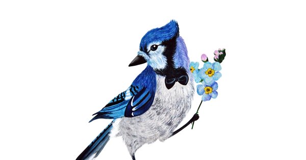 Сойка птица