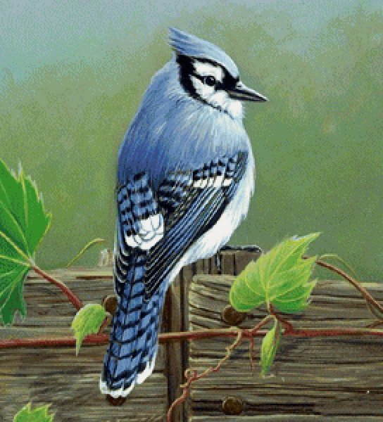 Джеймс Хаутман художник